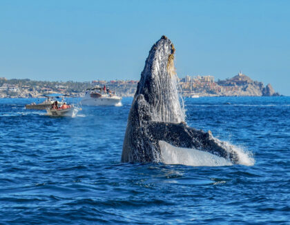 Cabo San Lucas, Mexiko