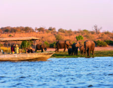 Chobe-Fluss