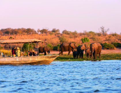 Fleuve Chobe