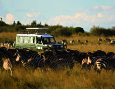 Safari Jeep