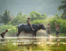 La bienveillance du Vietnam