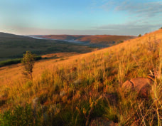 Hautes Terres du Mpumalanga